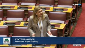 Λιακούλη: “Αφήνετε εκτός ενίσχυσης τους ξεκληρισμένους κτηνοτρόφους – Κανείς να μη συμμετάσχει στις φιέστες”